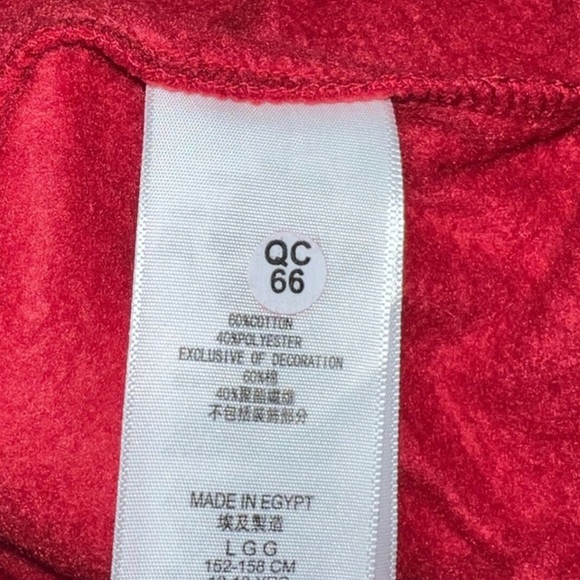 TWO NWT BOY’S RED LEVI'S LOGO FLEECE HOODIE (L) - Picture 8 of 10